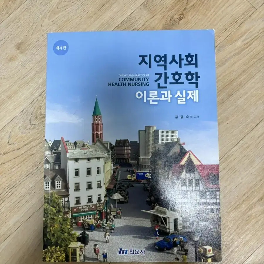 간호학과 교양/전공책