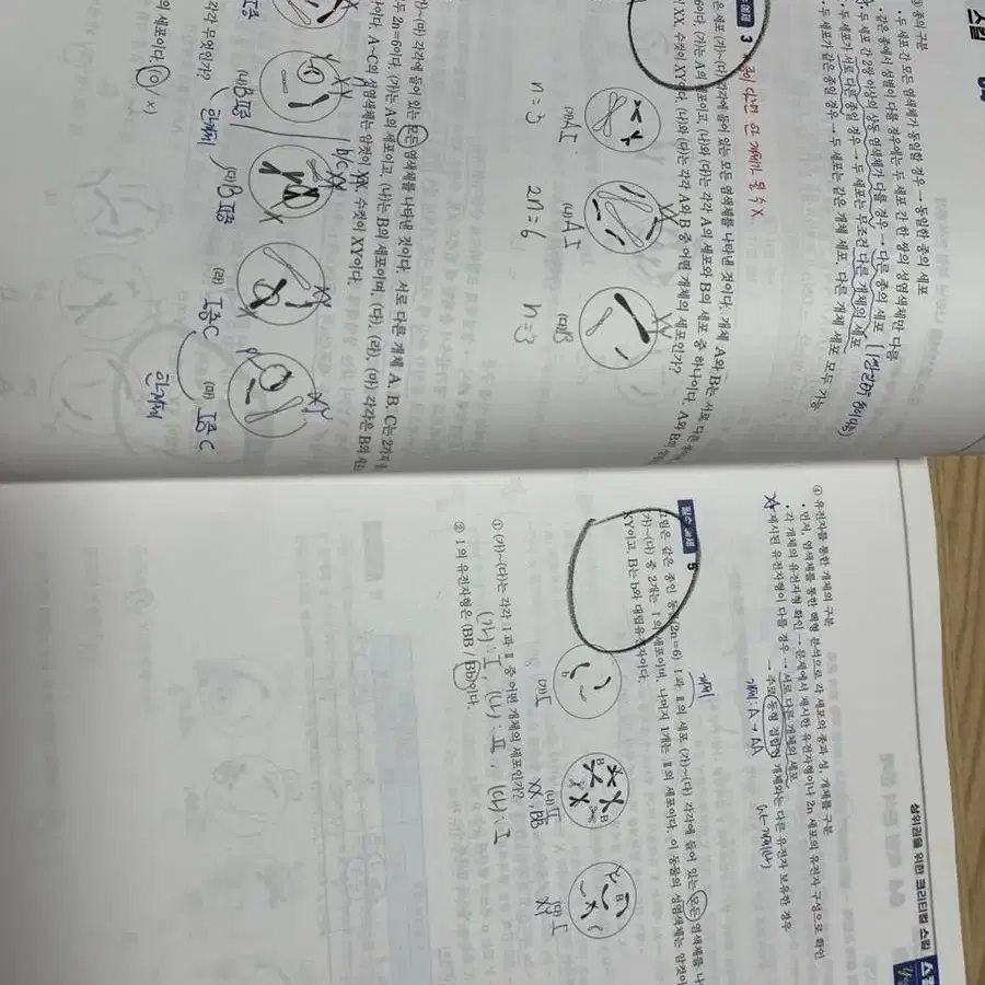 백호 상크스 교재 판매