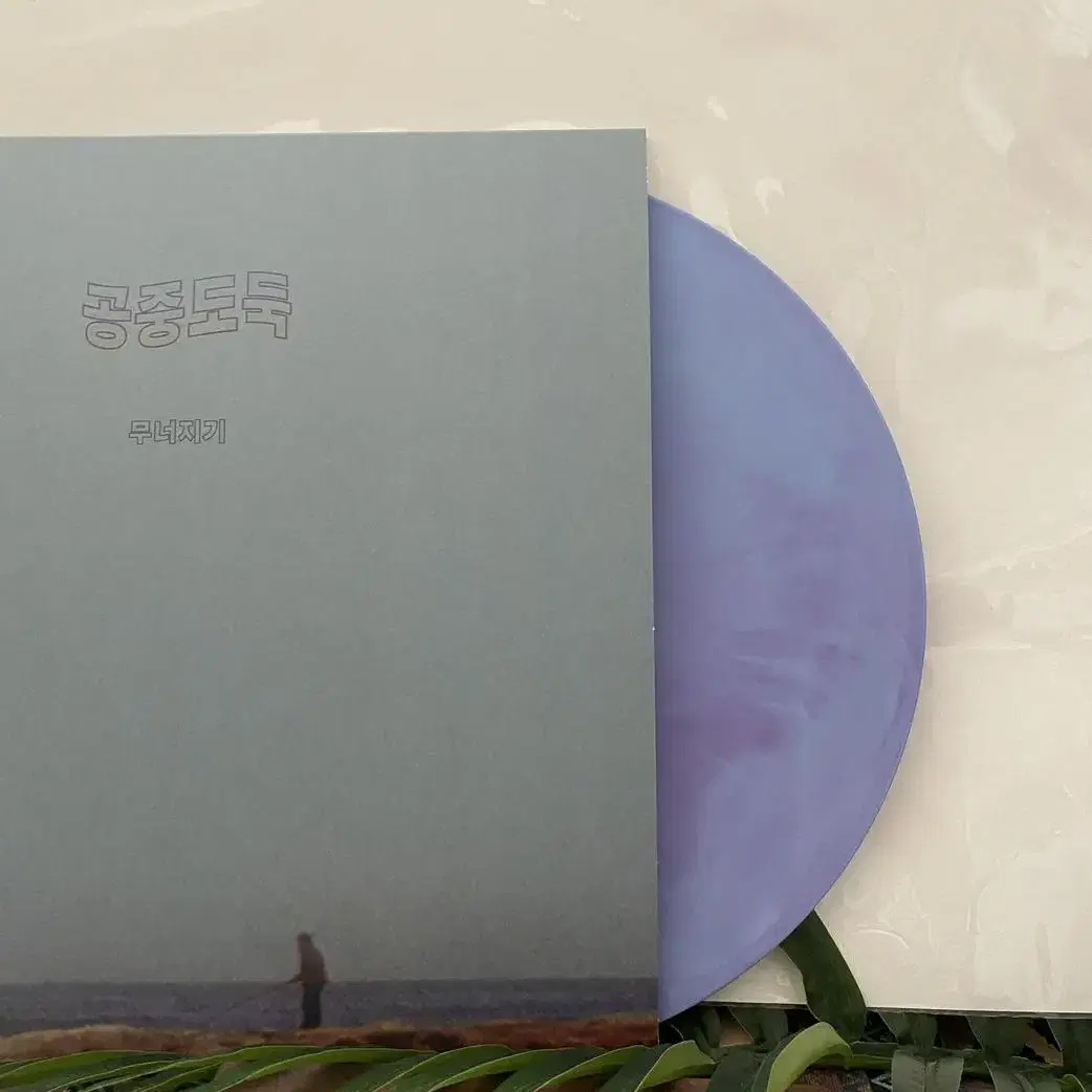 공중도둑 lp purple+skyblue