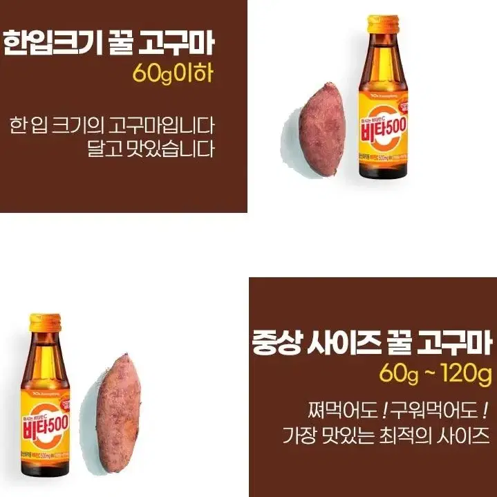 해남 꿀 고구마  저렴하게 드려요~