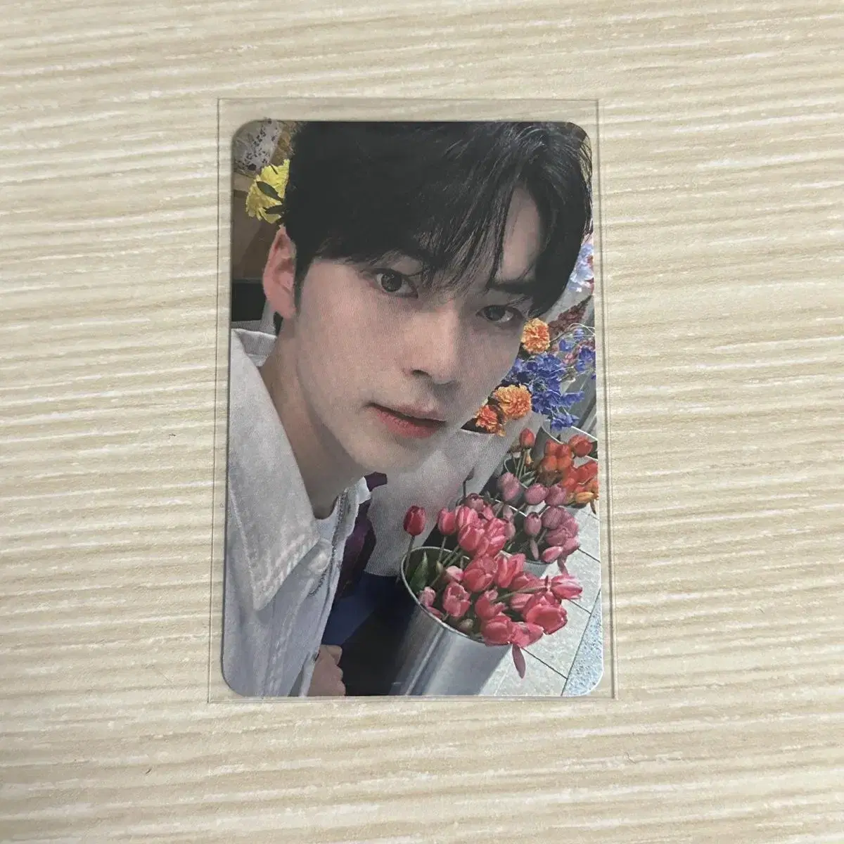 Zerobaseone sung hanbin OliveYoung InBloom Unreleased Photocard