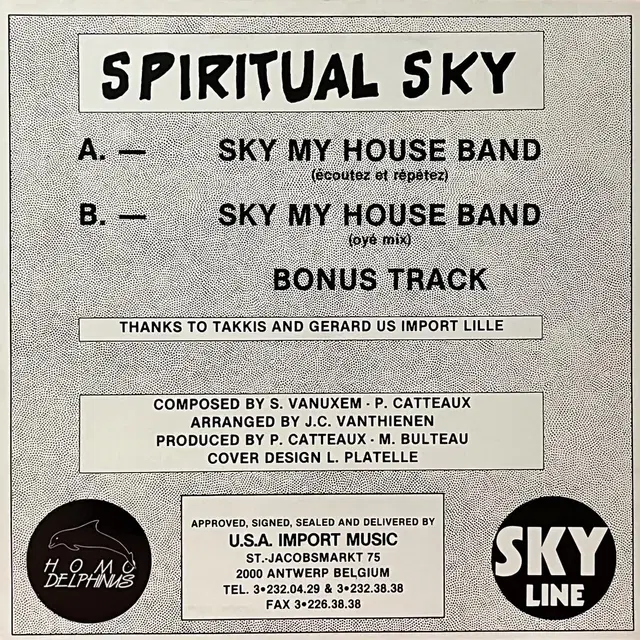 뉴비트LP Spiritual Sky -Sky My House Band