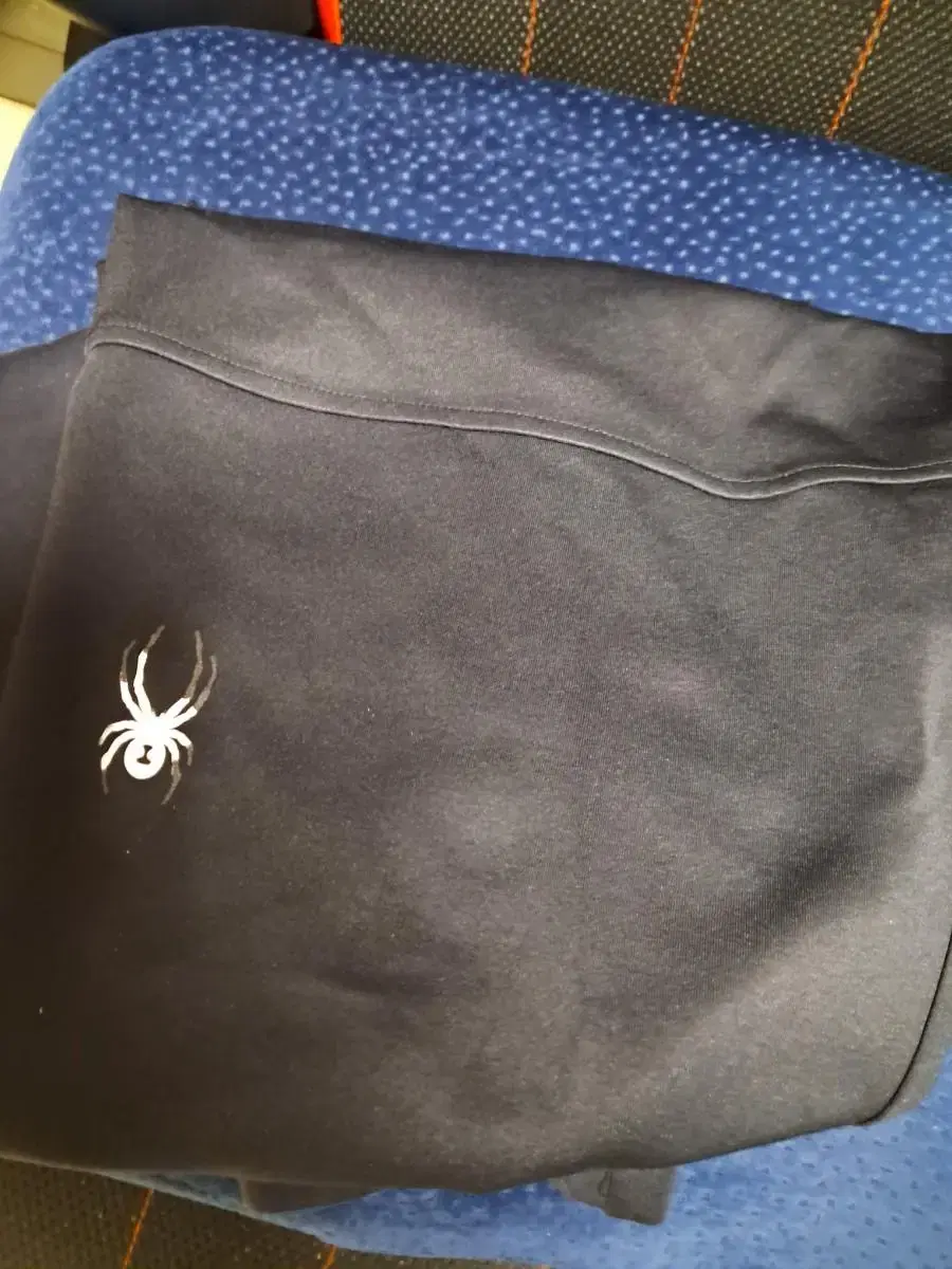 Spider Shorts