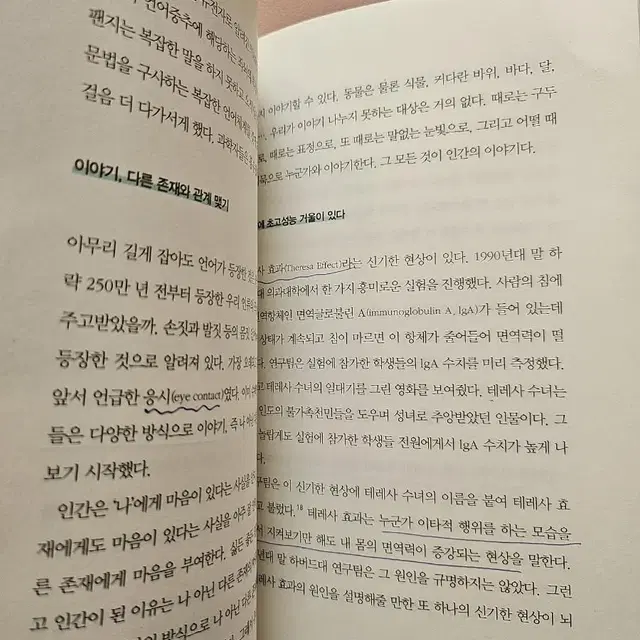 조급한 부모가 아이 뇌를 망친다