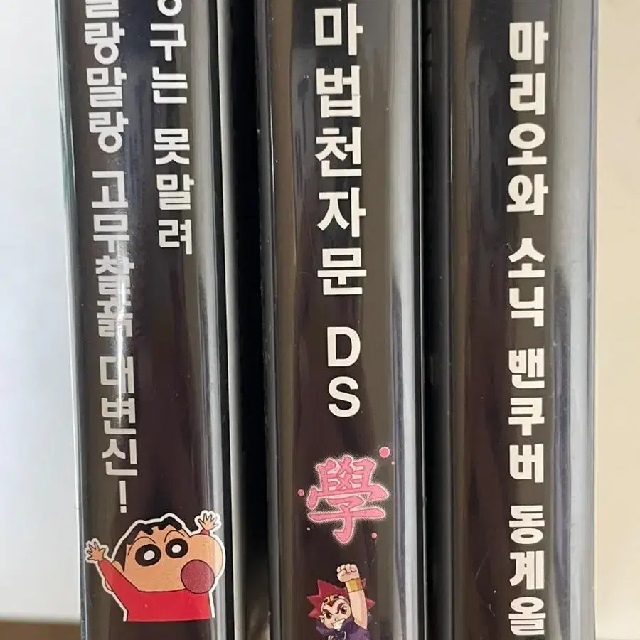 닌텐도 DS 칩