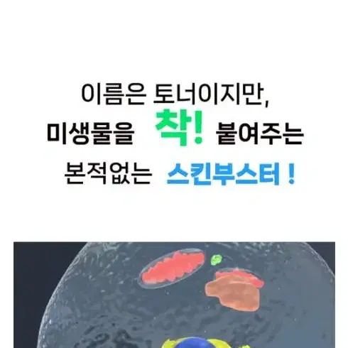 맘카페 난리난 스유어 팝 토너 미생물 토너