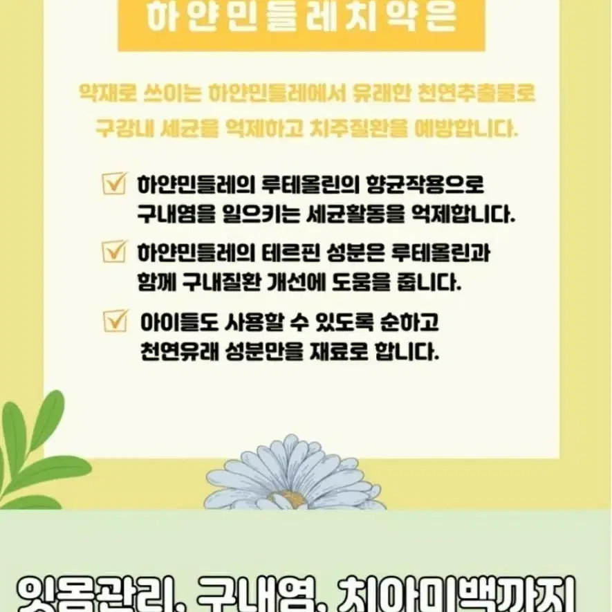 하얀민들레 치약