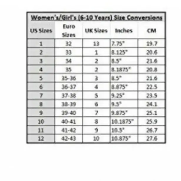 시카고 불렛 롤러스케이트 와 보호구