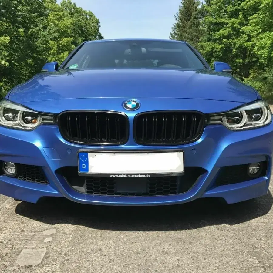 BMW 3시리즈 F30 M3스타일 키드니 그릴 F31 F35