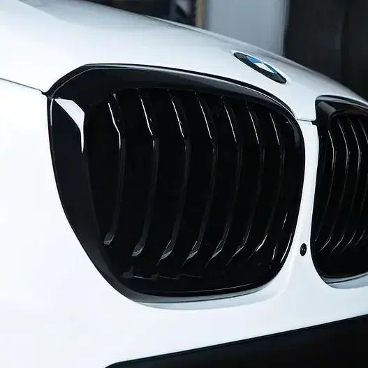 BMW X3 X4 G01 G02 X3M X4M F97 F98 키드니 그릴