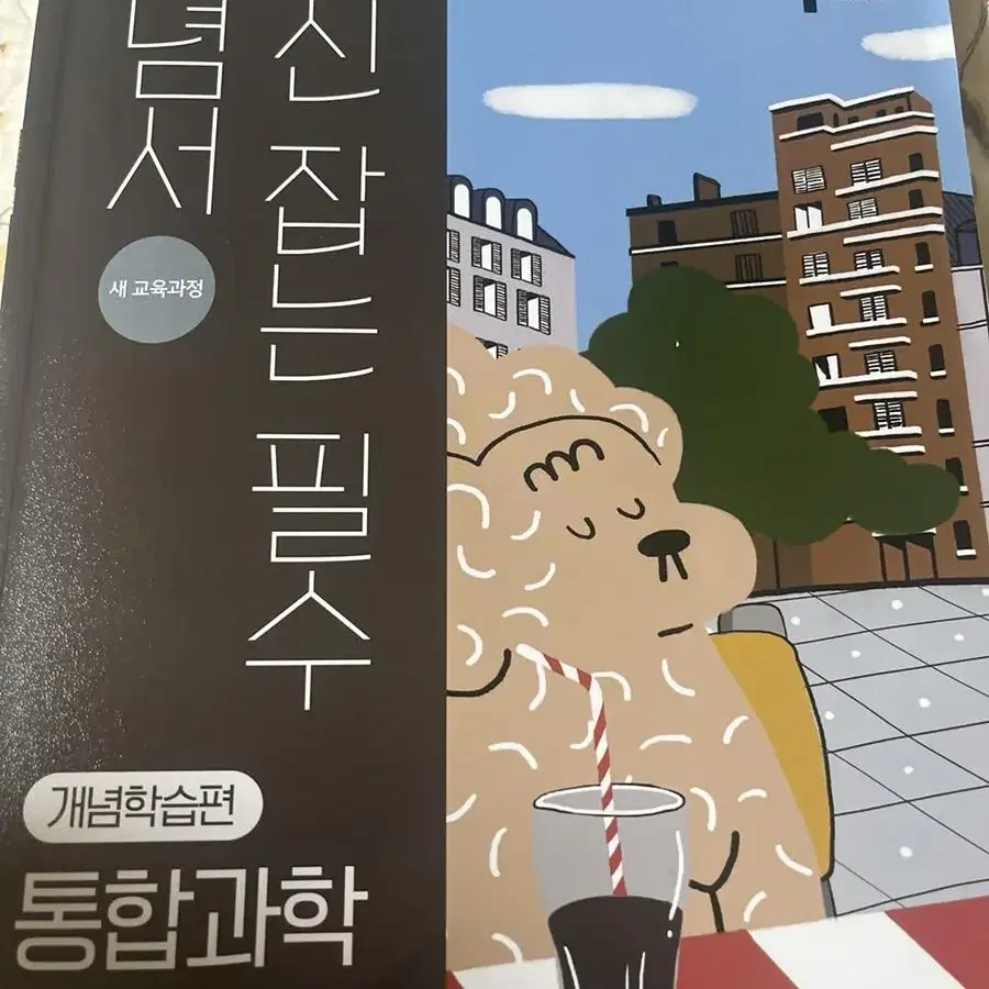 고1과학 개념 학습편만 있어 싸게 올립니다