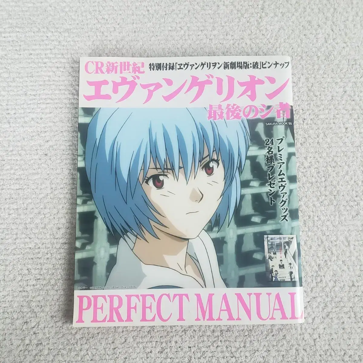 Evangelion Perfect Manual