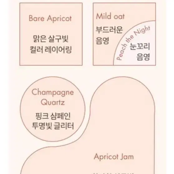 정가이하) 롬앤 베어 레이어 팔레트 웜톤 애프리콧무드