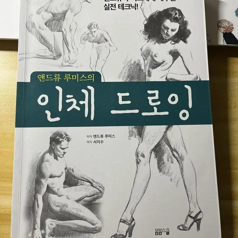 앤드류 루미스의 인체 드로잉 판매합니다!