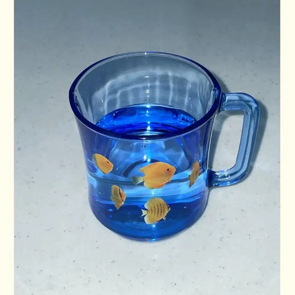 린콤마 fish cup