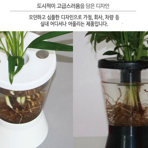 1+1 미니수족관 식물재배 화분 친환경 미니가습기 공기청정 에코리움 수경