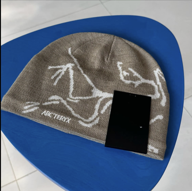 아크테릭스 arcteryx bird head toque