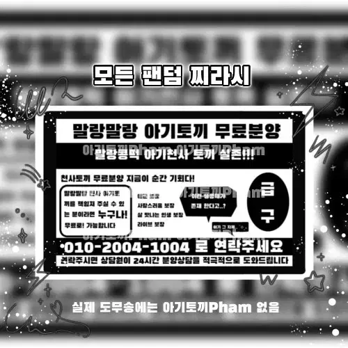 2+1)모든 팬덤 찌라시 뉴진스 에스파 르세라핌 아이브