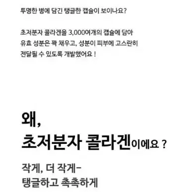 앰플엔 인탱글샷 콜라겐 앰플