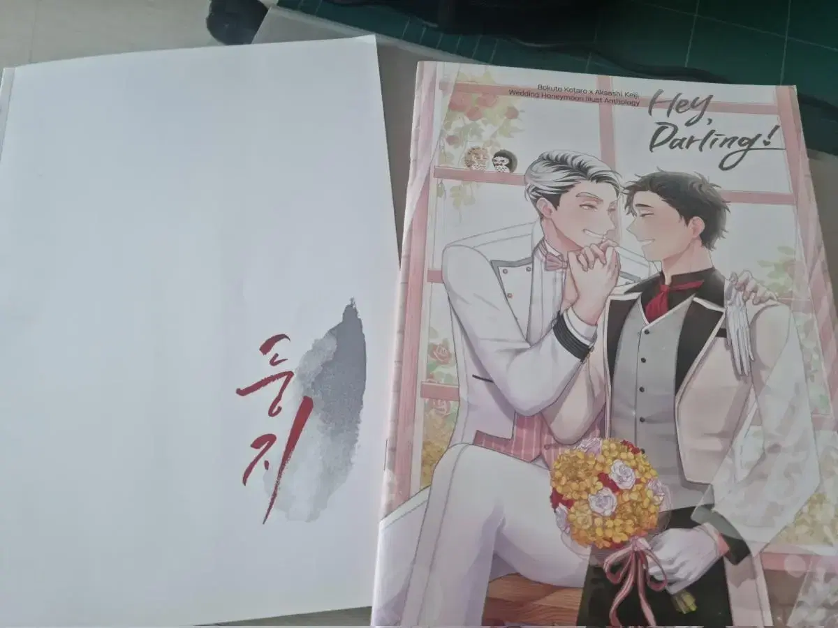 Bokuaka Illustrated Book