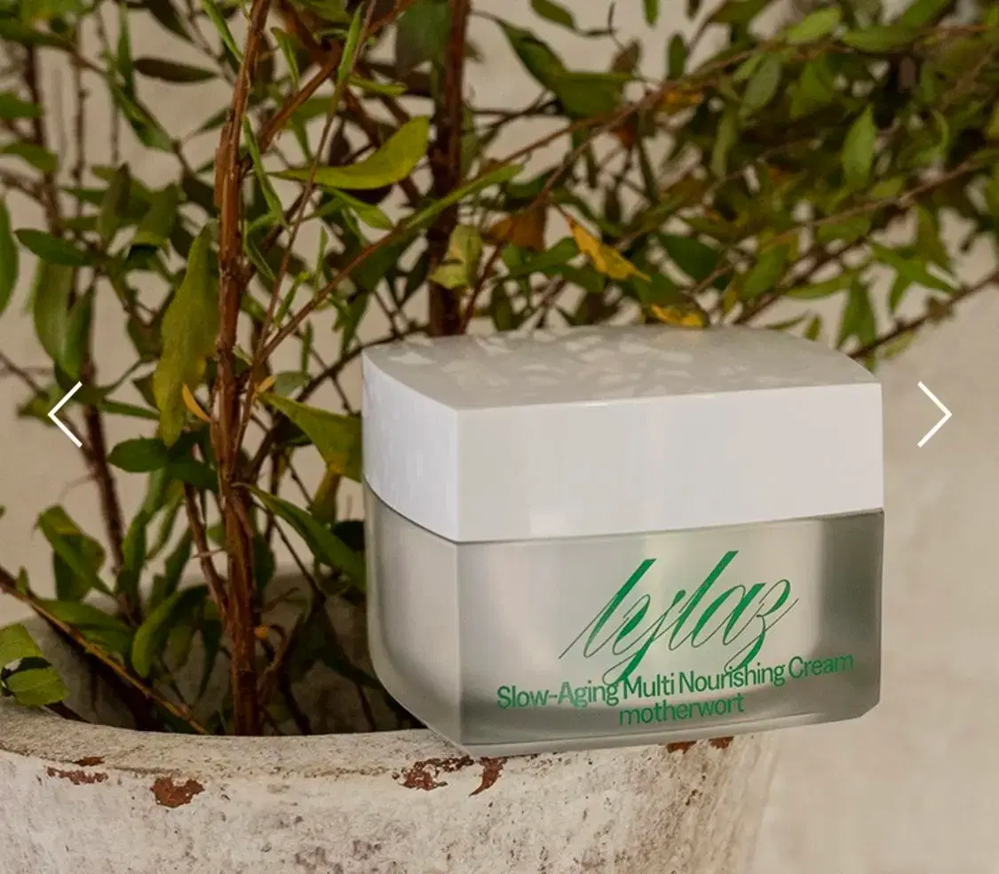 Slow Aging Motherwort Multi-Nourishing Cream Fluorescent Cream