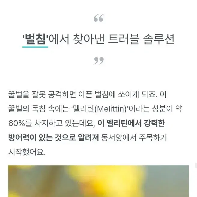 kg당6억의특허원료 진짜 여드름 기능성 클렌징 버블 아크네 클렌징폼