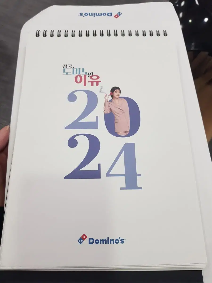 IU Domino's Pizza 2024 Calendar (bromide type)