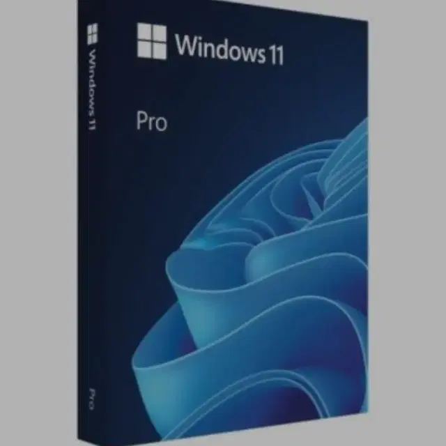 Windows 11 pro fpp 처음 사용자용 USB