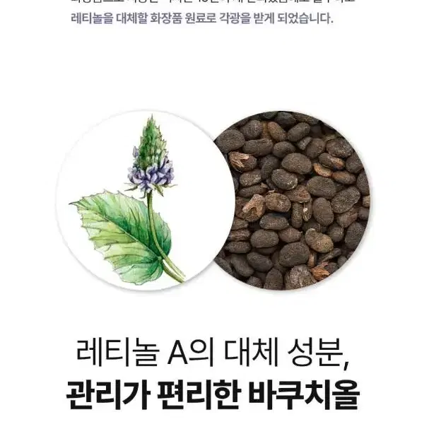 EGF특허바이오회사 극강의 탱탱함비결 비쿠치올 미백 수분 탄력 결광 크림