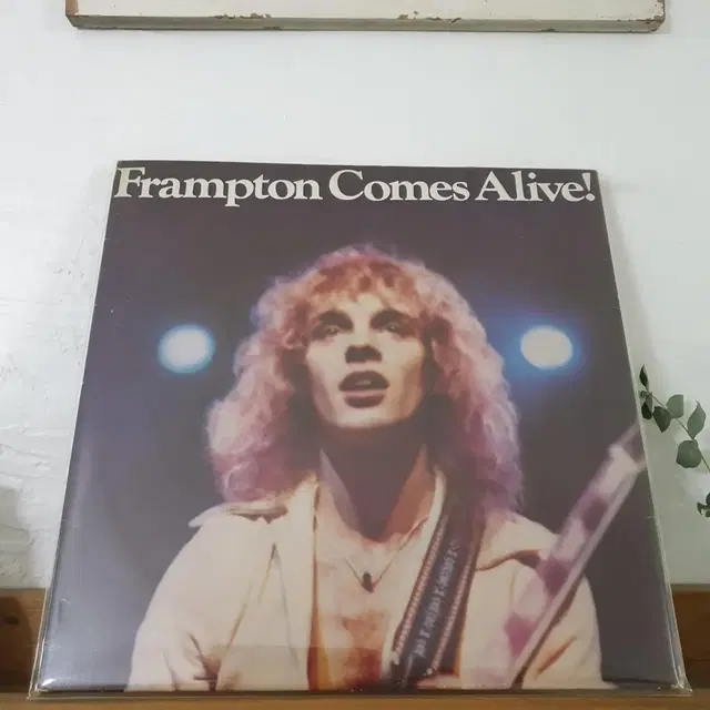 Frampton   comes  AIive  2 LP  1983