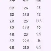 데일리 수제네일팁