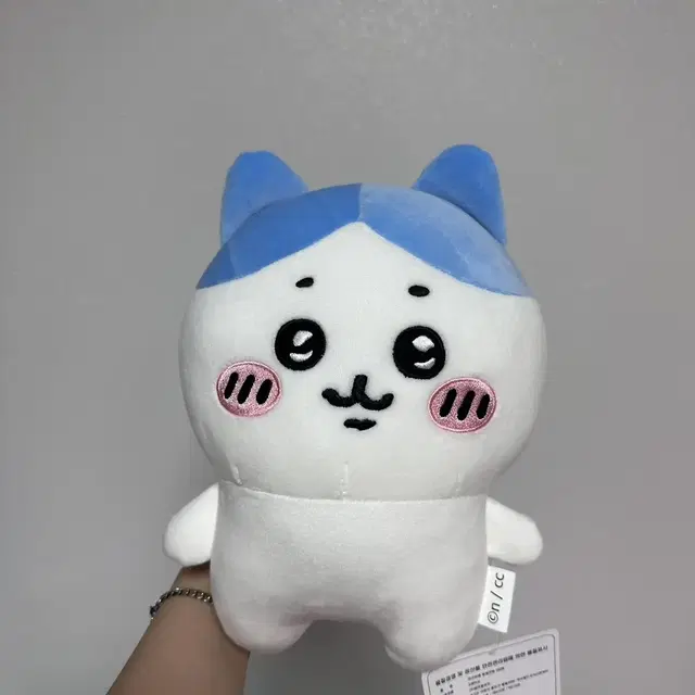 먼작귀 하치와레 중형인형 25cm 새상품