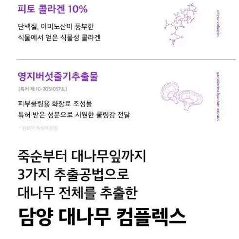 비원츠 피토 콜라겐 아이세럼 스틱