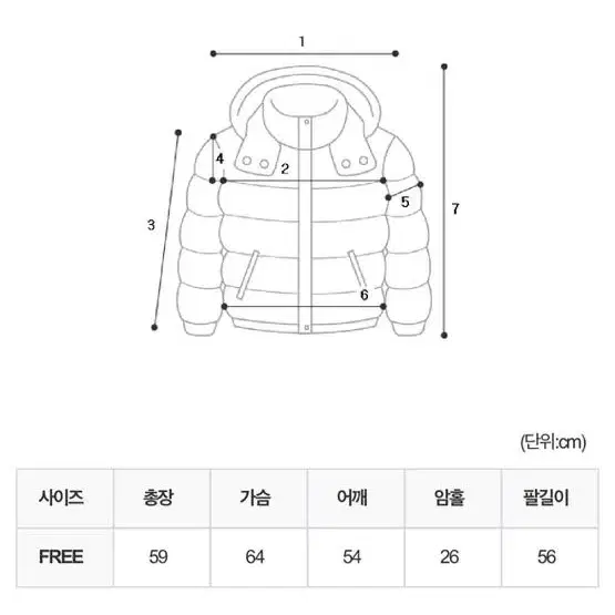 글로시 패딩