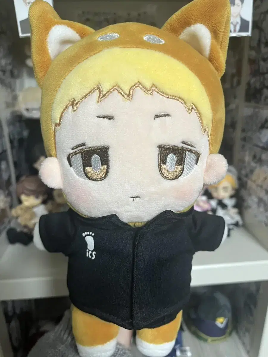 chikkipon haikyuu tsuki shima doll sister