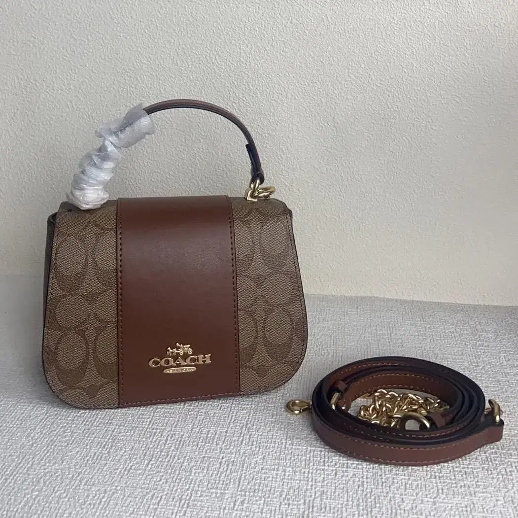 코치 COACH CM195 cpn 여자 가방 시그니처 캔버스 리사