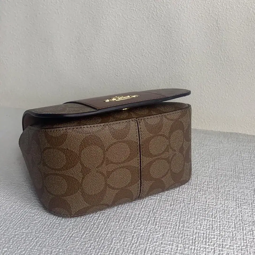 코치 COACH CM195 cpn 여자 가방 시그니처 캔버스 리사