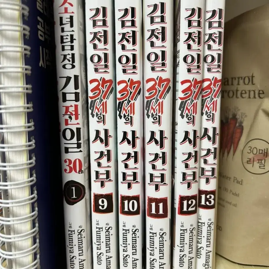 김전일 37세의 사건부 9~13권, 김전일 30th 1권