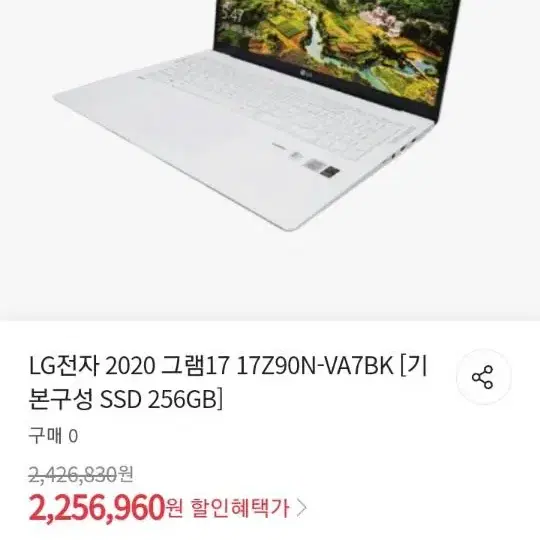 Lg gram 17인치 노트북