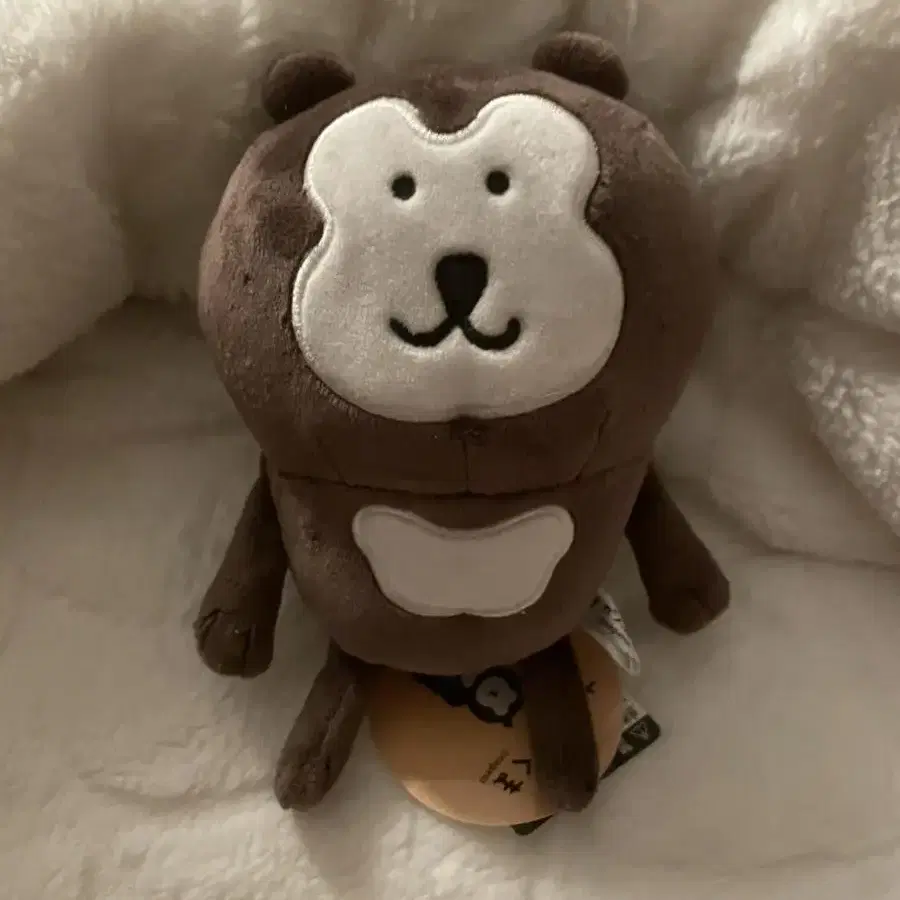 말레이곰 농담곰 콜라보