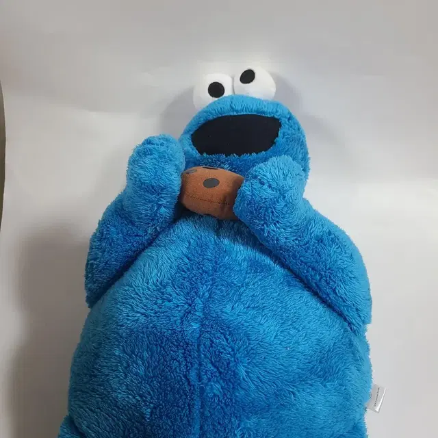 usj 유니버셜 디즈니랜드 세세미스트리트 쿠키몬스터 50cm 대형 인형