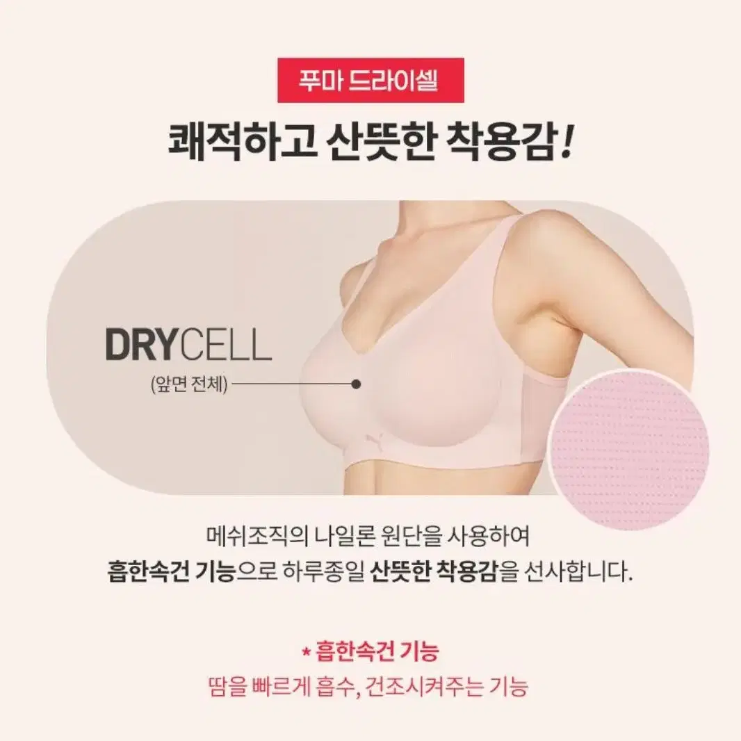 푸마 노와이어 속옷세트 블랙 75C  2세트 + 세컨팬티3장더