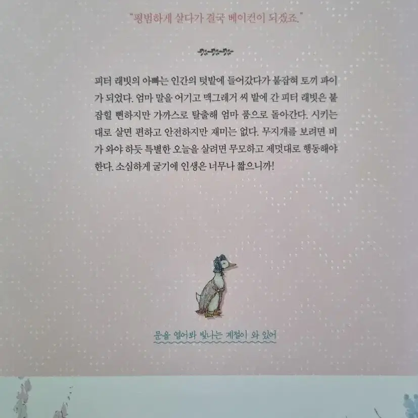 가장 빛나는 계절은 바로 오늘이었어 책