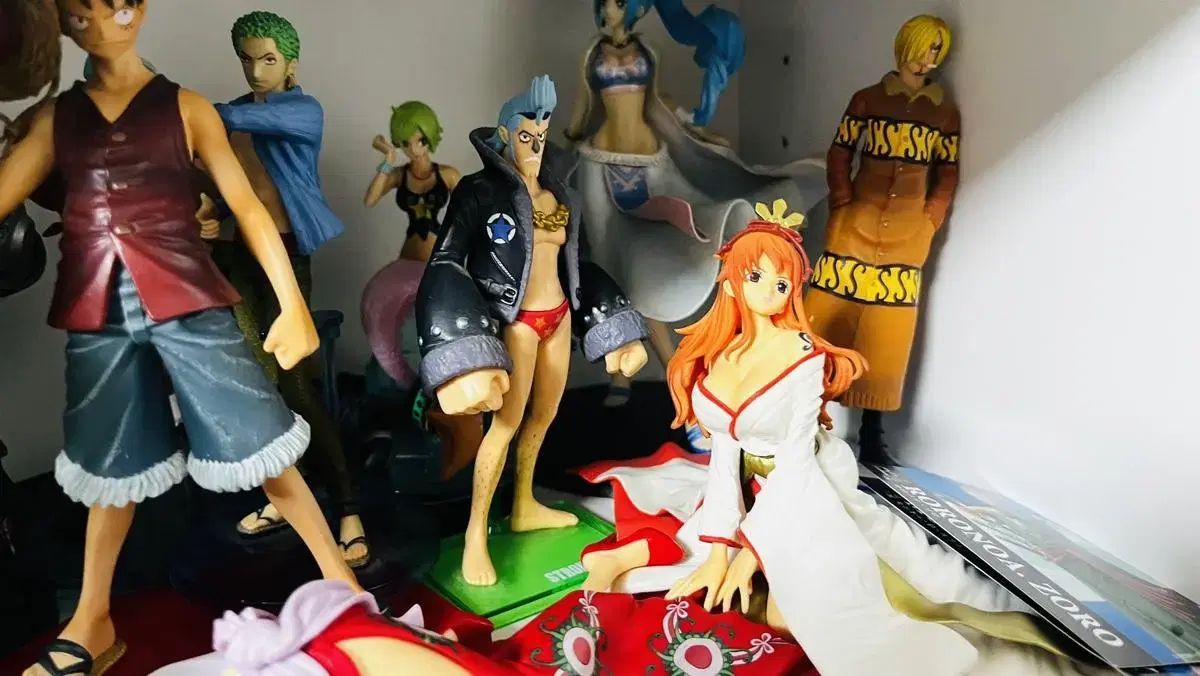 ONEPIECE Figure Organizer Sambles