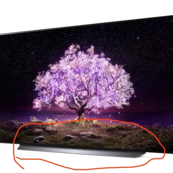 lg oled c1 65인치 거치대