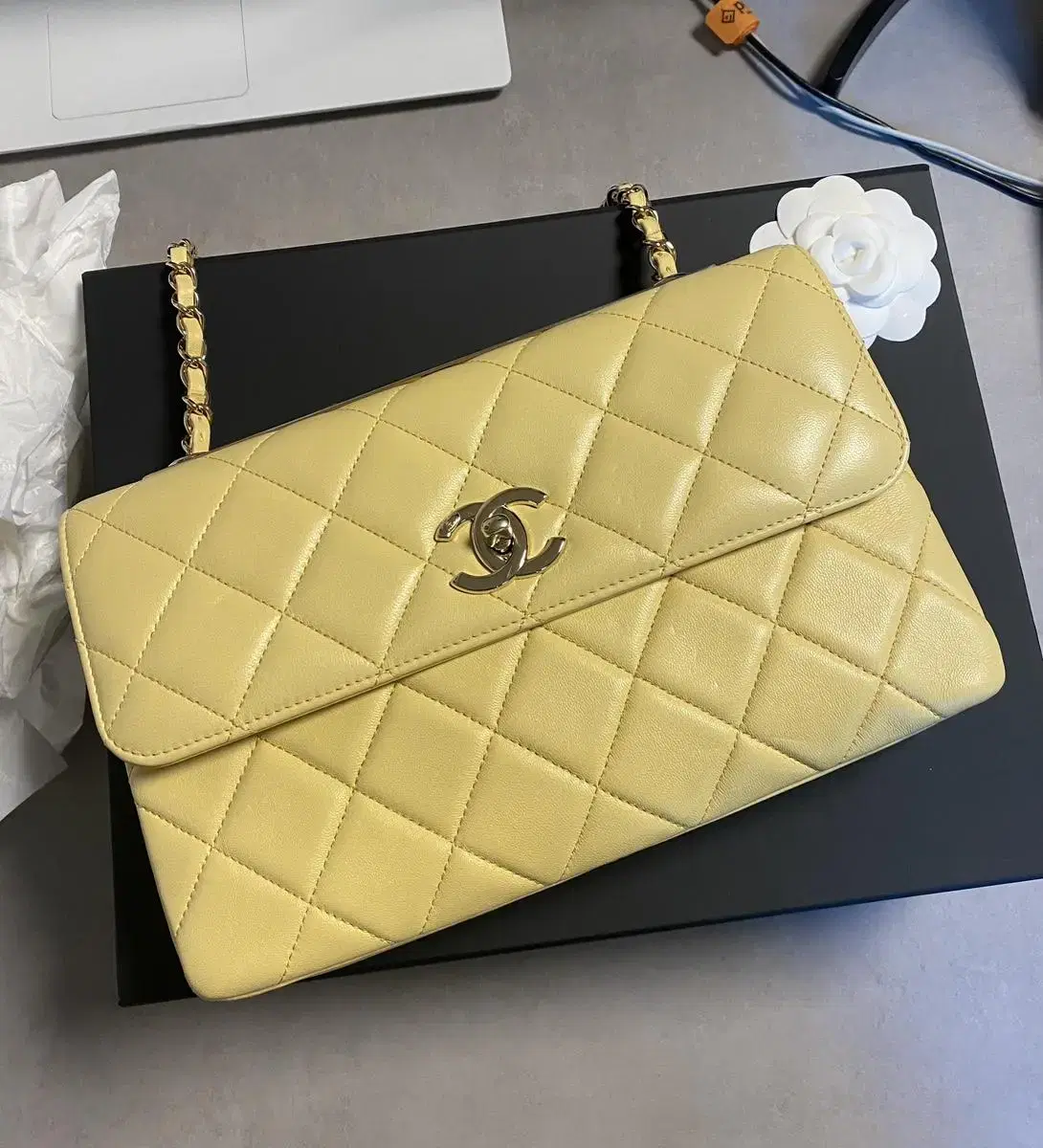 Chanel Trendy CC 19S Lambskin Bag