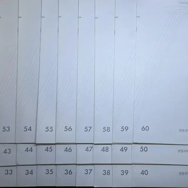 2023 시대인재 서바이벌 생명(서바이벌, 서바이벌 알파, 브릿지, 액셀