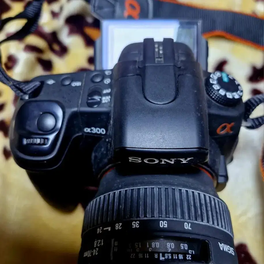 SONY  a300   렌즈 24.70mm