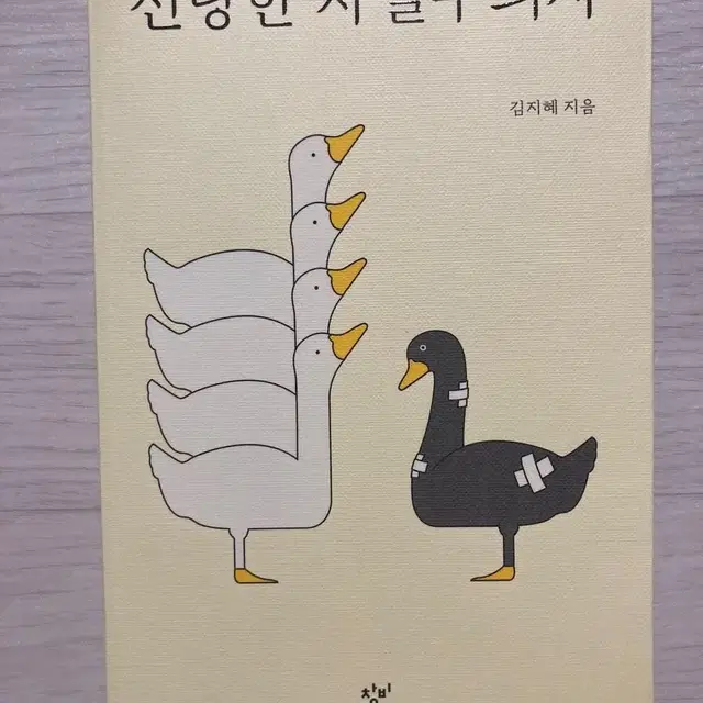 [오늘만 1권당 5,000원] 중고 도서 판매