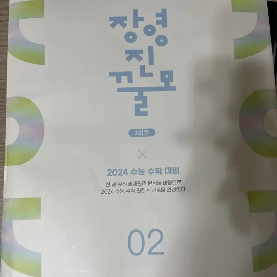 2024장영진꿀모